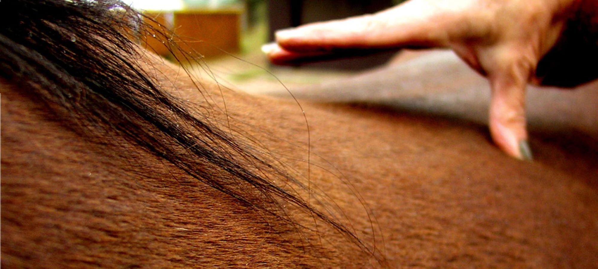 Body work and massage